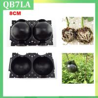 8cm Fruit Tree Root Box Plant Rooting Ball Case Planter Cases Grafting Rooting Growing Breeding Garden Tools Supplies QB7LA