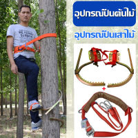 อุปกรณ์ปีนต้นไม้ Tree Climbing ที่ปีนต้นไม้ ปีนต้นไม้ รุ่น อุปกรณ์ปีนต้นไม้ อุปกรณ์ปีนเสาไม้ รองเท้าปีนต้นไม้