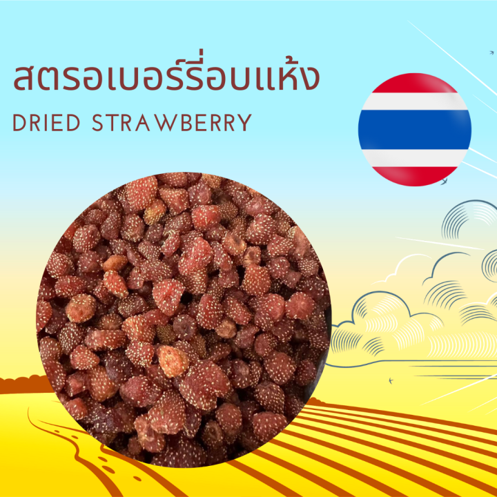 สตรอเบอร์รี่อบแห้ง 250 กรัม / 500 กรัม / 1 กิโกลรัม Dried Strawberry 250 g / 500g / 1 kg