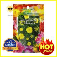 เมล็ดพันธุ์ดอกเดซี่ กรีน การ์เด้นDAISY SEED GREEN GARDEN **ลดราคาจัดหนัก **