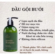 Dầu Gội Bưởi Vi jully Pomelo Shampoo