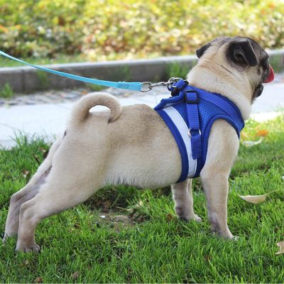 Mesh Dog Harness Leash Set for Small Pet Dogs Puppy Pug Bulldog Pulling Rope Breathable Vest Collar Cat Accessories Training Leashes