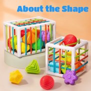 Trò Chơi Phân Loại Khối Hình Nhiều Màu Sắc Montessori Mới Cho Bé Học Tập
