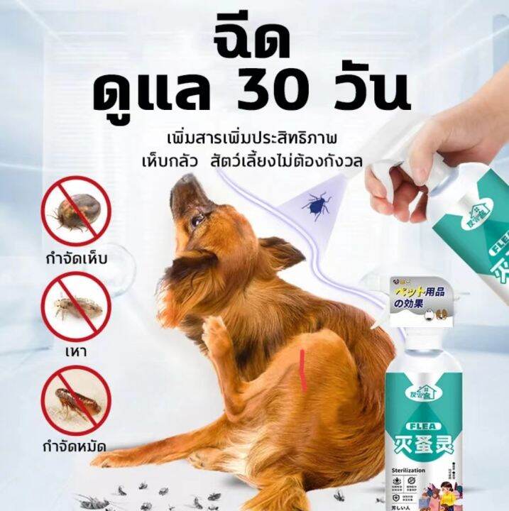 youke-ยาฆ่าเห็บหมา-สเปรย์กำจัดเห็บ-เลียได้ปลอดภัย100-ขนาด500mlขวดใหญ่ใช้ได้นาน-ไม่มีเห็บในบ้าน