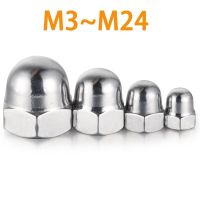 Acorn Cap Nut M3 M4 M5 M6 M8 M10 M12 M14 M16 M18 Stainless Steel Decorative Dome Cap Nuts Blind Nuts