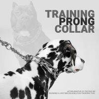 Metal Collar Dog Chain Obedience Training Easy Walking Command Correction Choker To Stop Pulling Dog Training Collar