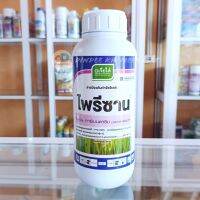 ไพรีซาน - คาร์เบนดาซิม 50% W/V SC สามารถป้องกันและกำจัดโรค ใบจุดสีน้ำตาล, ใบขีดสีน้ำตาลกาบใบแห้ง, ใบติด, ราแป้ง