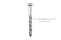 เกลียวปล่อยหัวเหลี่ยมสแตนเลส 1/2" (12.7 mm) 4 หุน สกรูเกลียวปล่อยหัวเหลี่ยมสแตนเลส Stainless Steel Hexagon Head Screw