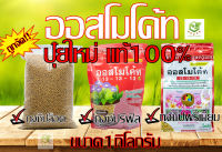 ออสโมโค้ท 1 kg. สูตรเสมอ ปุ๋ยละลายช้า ปุ๋ยใส่กล้วยไม้ ไม้ดอกไม้ประดับ มัลติเทค