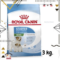 ?Lotใหม่ พร้อมส่งฟรี? Royal Canin Mini Starter Mother &amp; Babydog อาหาร ลูกสุนัข และ แม่สุนัข พันธุ์เล็ก ขนาด 3 kg.  ✨