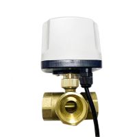 【YF】 1  3 Way IP65 Waterproof Motorized Ball Valve 220V 12V 24V 3-Wire 2 Control T/L Type Brass Electric