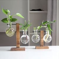 【CC】 Terrarium Vases Hydroponic Transparent Glass Frame Flowerpot Tabletop Shelves Balcony Office