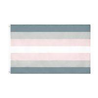 Demigirl Pride Flag 3x5 Fts LGBTQIA Demi Women Gender Banner