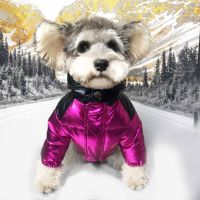 Luxury Designer Pet Dog Clothes Down Jacket Winter Coat Small Medium Dogs Puppy Costume Parkas French Bulldog Schnauzer Clothing