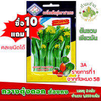 (ซื้อ10แถม1) เมล็ดพันธุ์ กวางตุ้งดอก ฮ่องกง Flowering Pak Choy ประมาณ 3,600เมล็ด 3A สามเอ ผักสวนครัว เมล็ดพันธุ์พืช เมล็ดผัก เม็ดผัก พืชผัก