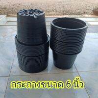 กระถางพลาสติกดำ 6 " แพ็ค 10 ใบ