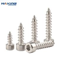 20/55pcs M2 M2.5 M3 M4 M5 M6 Hexagon Hex Socket Cap Head Self Tapping Screw 304 Stainless Steel Allen Head Screw for Speaker Nails Screws  Fasteners