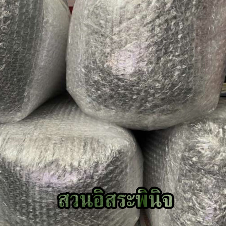 พันธุ์ข้าวปลูก-กข79-ข้าวปลูก-กข79-พันธุ์ข้าว-ขนาด-12-5-กิโลกรัม