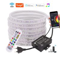 220V 110V 5050 RGB LED Strip Light Wifi Wireless 24key Remote Control White Waterproof 60led/m Flexible Led Ribbon Lights Decor LED Strip Lighting