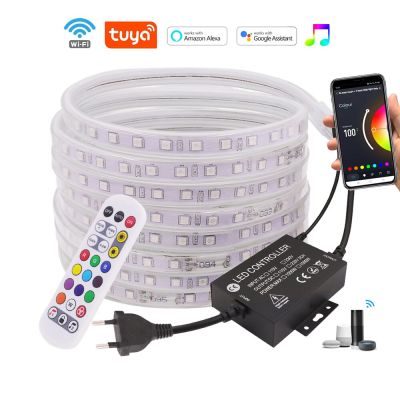 220V 110V 5050 RGB LED Strip Light Wifi Wireless 24key Remote Control White Waterproof 60led/m Flexible Led Ribbon Lights Decor LED Strip Lighting