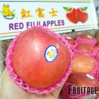 แอปเปิ้ลฟูจิ (1ลูก/ไซส์JUMBO) APPLE FUJI (CHN) ~ลดพิเศษ~ Apple ลูกใหญ่ ! ผลไม้สดๆ ผลไม้สดนำเข้า fruit ผลไม้นอก ผลไม้เมืองนอก ผลไม้แอปเปิ้ล แอปเปิ้ลสด