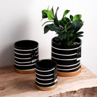 Home GardenNordic Minimalist Black&amp;White Striped Ceramic Pots High Quality Round Pots Literary Green Plant Pots With Trays