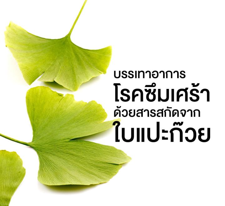 ส่งฟรี-ginkola-จิงโก่ลา-สารสกัดจาก-ใบแปะก๊วยสกัด-ใบแปะก้วย-อาหารสมอง-ช่วย-น้ำในหูไม่เท่ากัน-อาการเสียงในหู-60-แคปซูล-กิฟฟารีน-ของแท้100