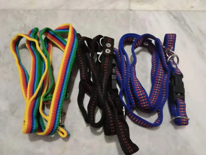 Dog leash Lazada PH Buy sell online Leashes with cheap price Lazada PH
