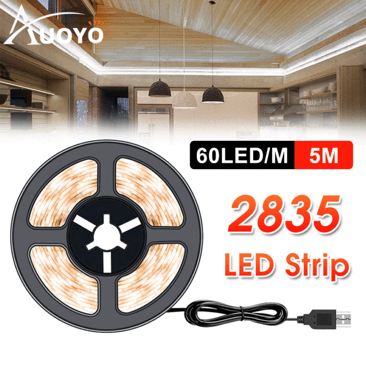 Auoyo 2835 LED Strip Lights Fairy Lights Christmas Lights Decorations
