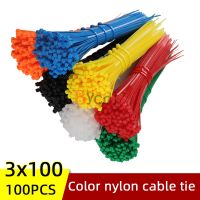 100pcs/bag of color cable ties 3x100 wide 2.5mm disposable self-locking nylon harness cable tie organizer fastening line