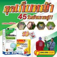 ชุดเก็บหญ้าไวซีแอล+ควิน75%แถมฟรี!!กรดอะมิโน4สูบ ฉีดจี้ได้ซ้ำได้ข้าวไม่แดง ปราบหญ้าข้าวนก ลิเก ดอกขาว พุ่มพวง กระดูกไก่