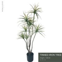 Tinned Iron Tree- Height 130 cm ต้นไอรอนความสูง 130ซม.