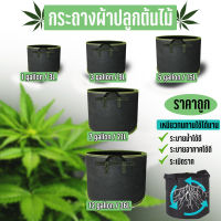 (พร้อมส่งในไทย) กระถางผ้า  Grow bag ใช้งานได้5-7ปี กระถางผ้าปลูกต้นไม้ ถุงผ้าปลูกต้นไม้ ถุงปลูกต้นไม้ โตไว รากแข็งแรง ระบายน้ำและอากาศได้ดี