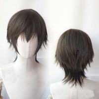 【jw】✐ Mens Wig Synthetic Anime Hair Short Resistant Wolf Tail Mullet Bob With Bangs