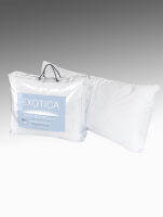 EXOTICA  หมอนบอดี้ (BODY PILLOW) ขนาดมาตรฐาน 18"x 46" นิ้ว (แพ็ค 1 ใบ) / (แพ็ค 2 ใบ)