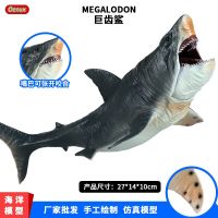 {“》27ซม. สัตว์มีชีวิตในทะเล Megalodon แบบจำลองรูปฉลามหุ่นแอ็คชั่นของขวัญของเล่นเด็กการศึกษาความรู้ความเข้าใจขนาดเล็กในตู้ปลาทะเล