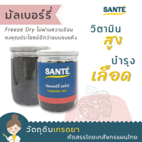 SANTÉ ซานเต้ มัลเบอร์รี่ ฟรีซดราย ลูกหม่อน Mulberry (Freeze Dry) 80 กรัม