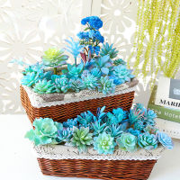 ตกแต่งบ้านจำลอง Succulents สก์ท็อปมินิตกแต่งบ้าน DIY เครื่องประดับพืชเทียมอุปกรณ์10ชิ้นสุ่มรูปร่าง