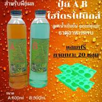 ปุ๋ยไฮโดรโปนิกส์ ปุ๋ยAB ขนาด500ml ปุ๋ยน้ำ ปุ๋ยเอบี ปุ๋ยสำหรับพืชผล ปุ๋ย Hydroponics แถมฟรี ถาดเพาะ20หลุม