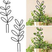 【hot】◐▤  Trellis Support Rattan Rack Climbing Vine Frame Bracket Potted Stake Garden Arrangement