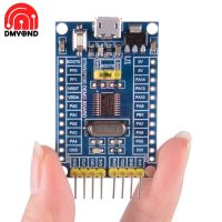 แผงพัฒนาระบบขนาดเล็ก M0 Core 32-Bit 48Mhz F030f4p6 Stm32แขนคอร์เท็กซ์บอร์ดพัฒนาขนาดเล็ก