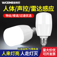 Infrared Radar human body voice control induction lamp led bulb stair corridor home property corridor aisle light