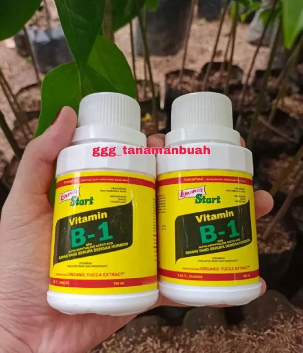 Pupuk Vitamin B1 Tanaman Liquinox Original | Lazada Indonesia