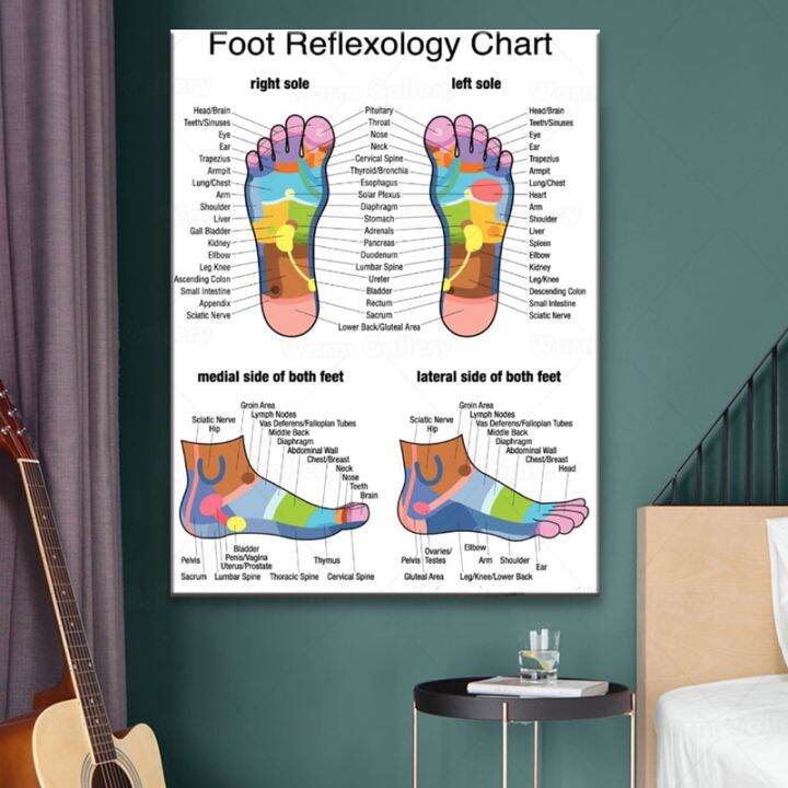 REFLEXOLOGY OF THE FOOT ACUPUNCTURE POINT CHART ANATOMY Art Print