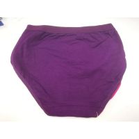 SELUAR DALAM WANITA 3 HELAI 1719 LADIES PANTIES FEMALE UNDERWEAR SPENDER 3IN1 女生内裤3合1