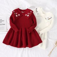 [COD] Baby and Knitted Skirt Warm Embroidered Sweater