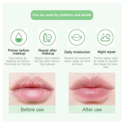 1 Pcs Lip Balm Moisturizing Colorless Anti-chapped Fade Lip Wrinkles Anti-chapped Lip Mask Lip Care TSLM1