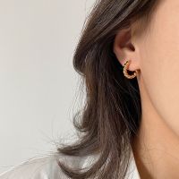 twist hoop - morning.earrings