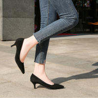 รองเท้าส้นเข็มผู้หญิง Pointed Toe Pump Suede Work Occupation 5Cm Heel WZ