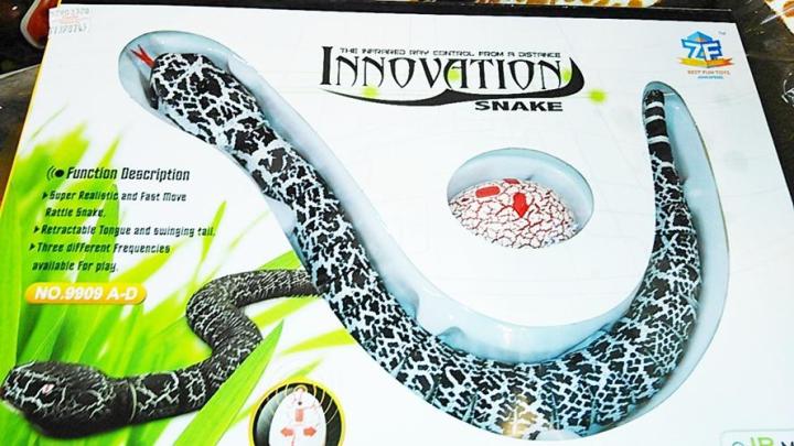 งูของเล่นชารจไฟ-มีรีโมท-รูปใข่-เคลื่อนไหวได้-innovation-snake